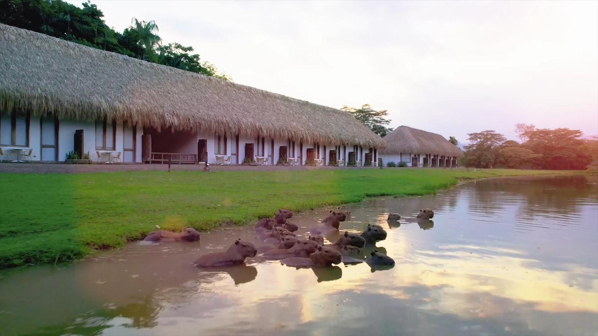 Hotel Reserva De Piedemonte Villavicencio Exterior foto